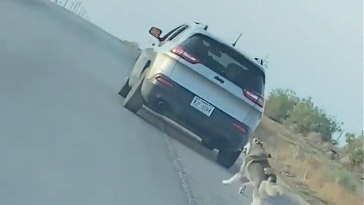 Heartbreaking video shows husky chasing car after owner abandoned it by side of road - now he’s been arrested