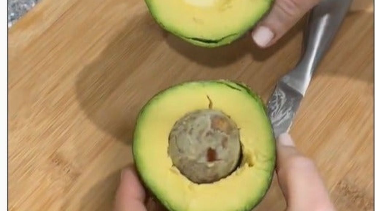 Have you been cutting your avocado wrong? Instagram foodie reveals hack which will ‘change your life’