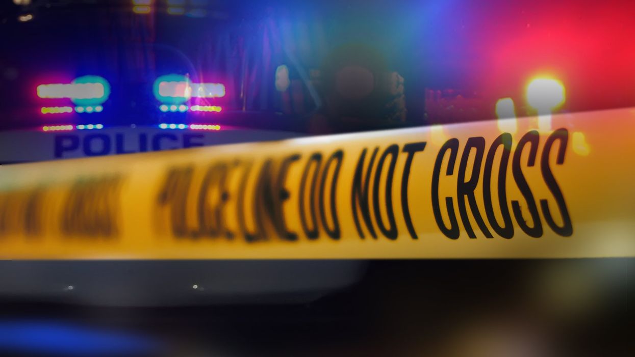 Toddler fatally shoots woman in head during Zoom work call after finding gun in property
