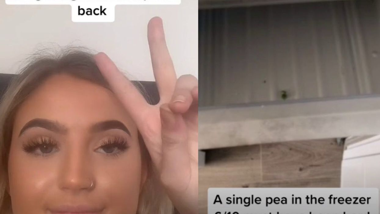 Student says she lost her £210 deposit after landlord found a single pea in the freezer
