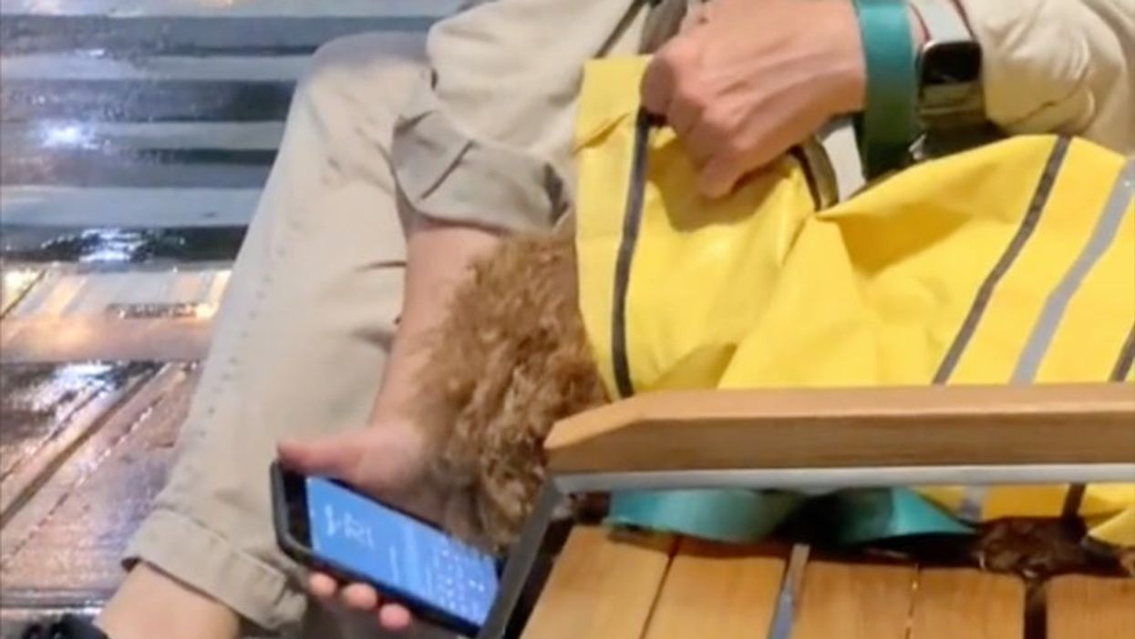 Elderly woman shares the weather report with her dog in wholesome TikTok clip