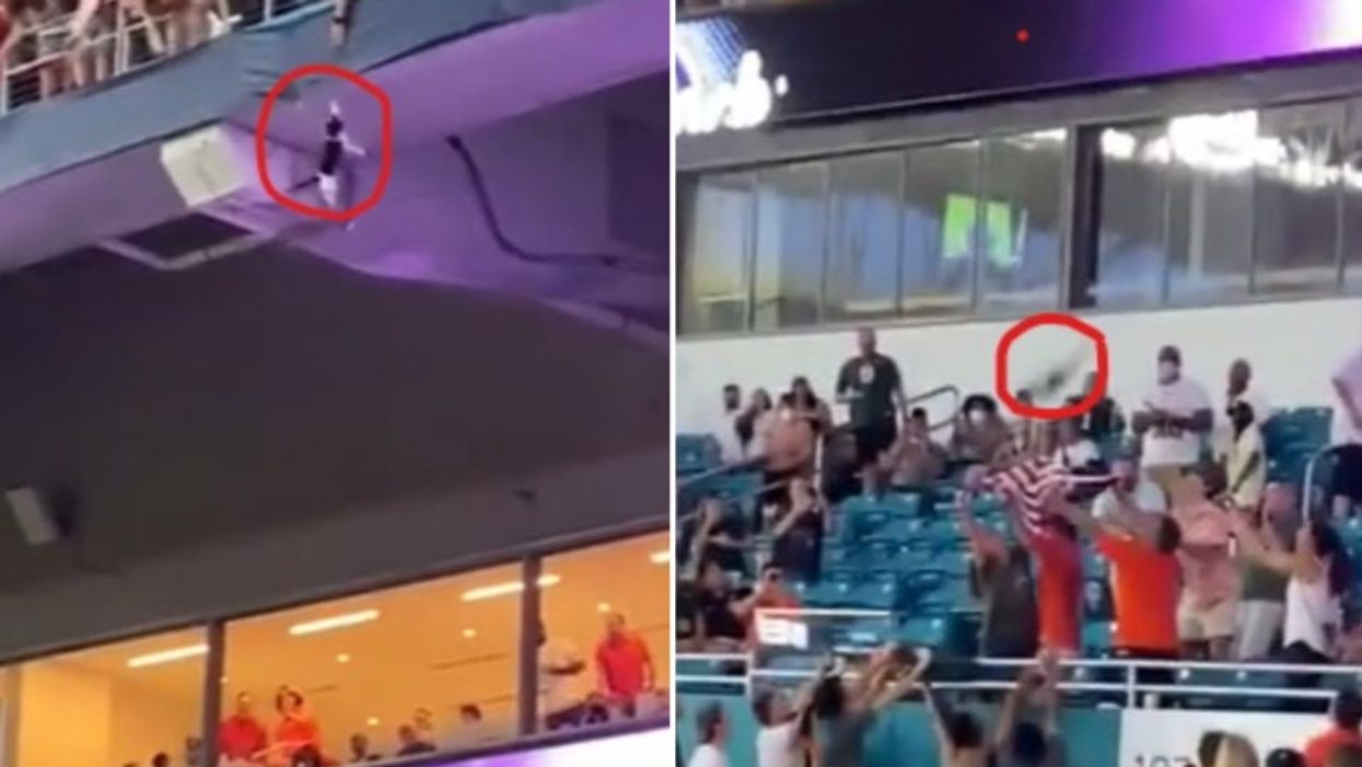 Incredible moment Miami Hurricanes fans use US flag to catch falling cat at football game