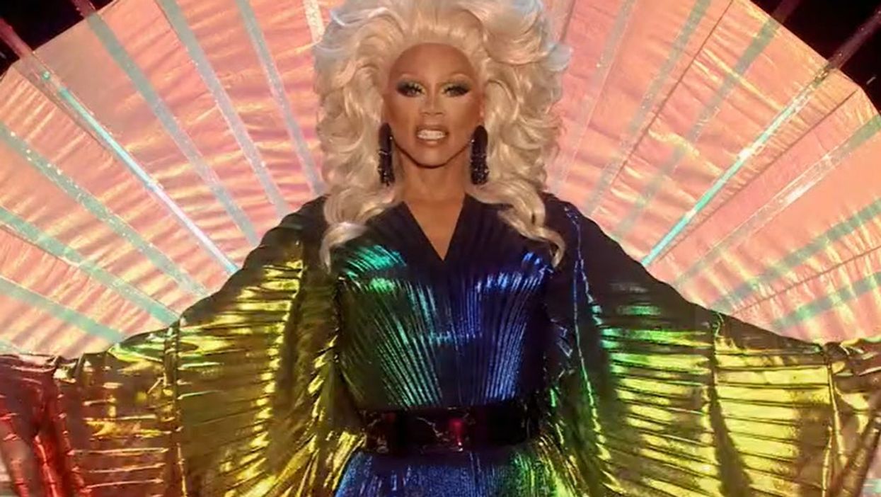 A new rainbow fly species has been named after RuPaul