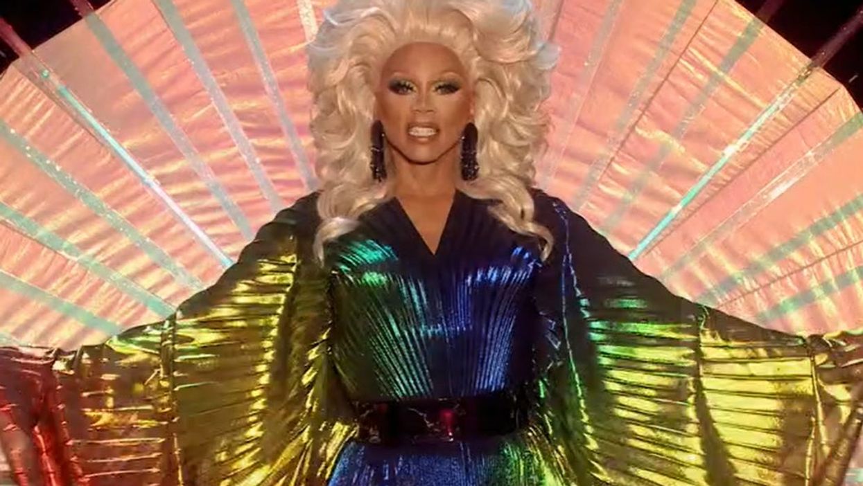 A new rainbow fly species has been named after RuPaul