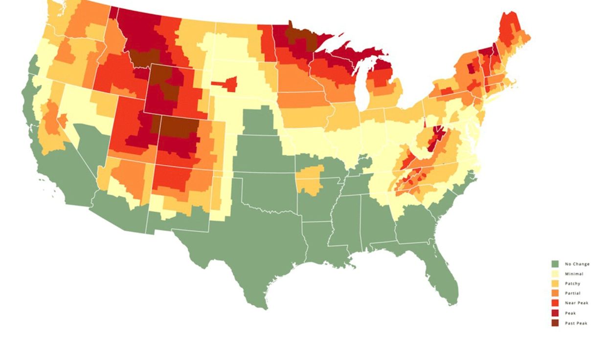 Fall foliage predictor map: The best places to see the leaves change across the U.S.