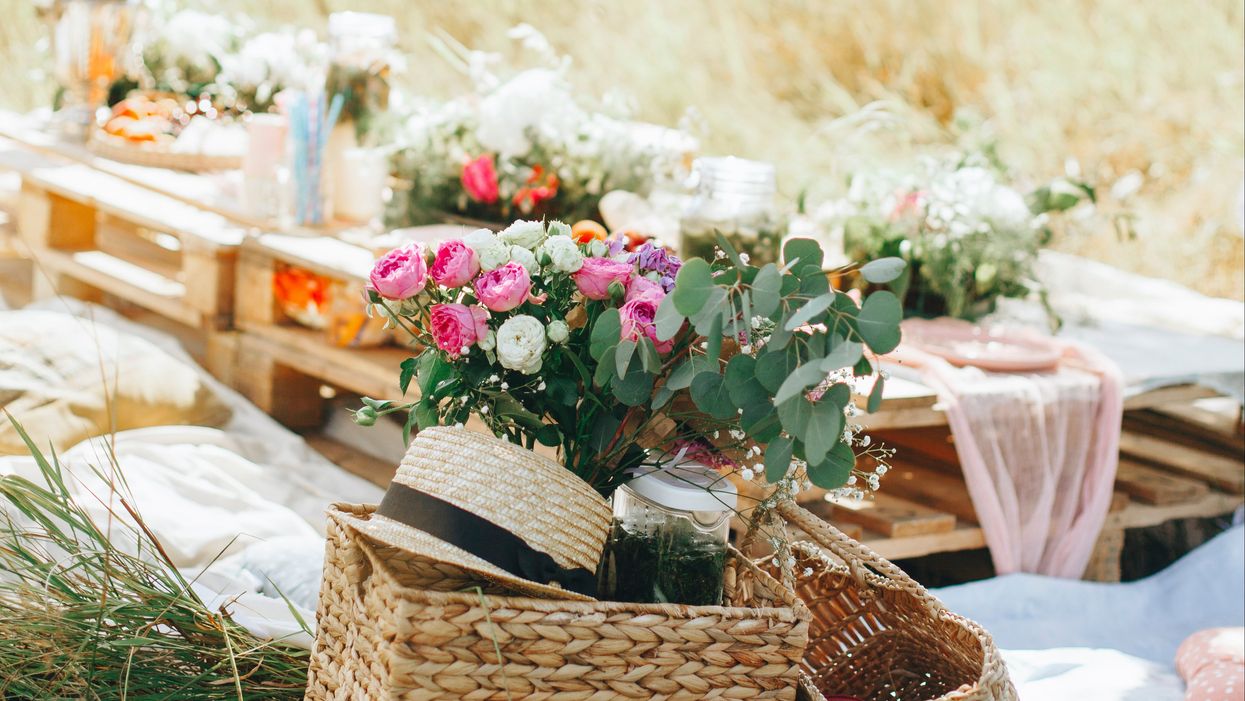 ‘Influencer’ demanded free picnic for her and 10 friends and then asks caterer to pay HER $200 for privilege