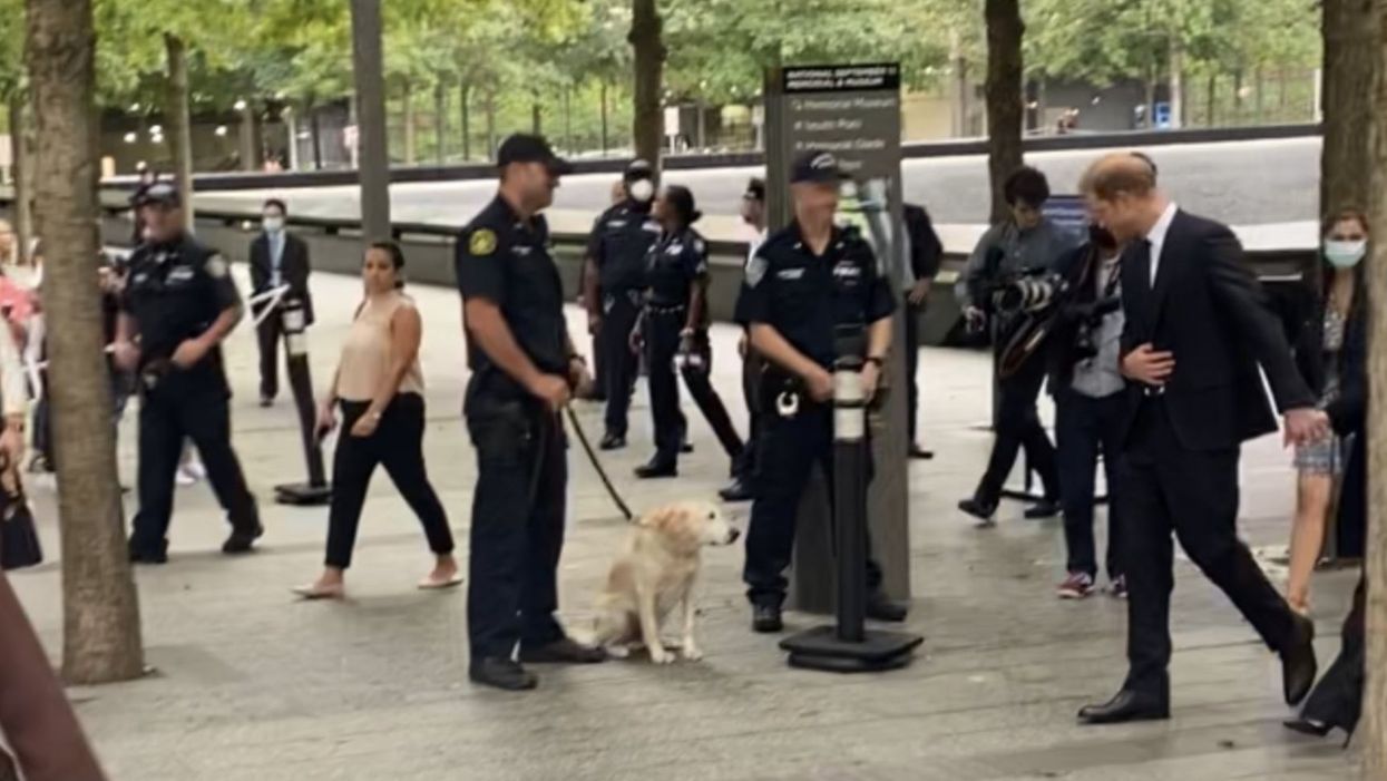 Prince Harry appears to say hello to a dog as he leaves World Trade Center