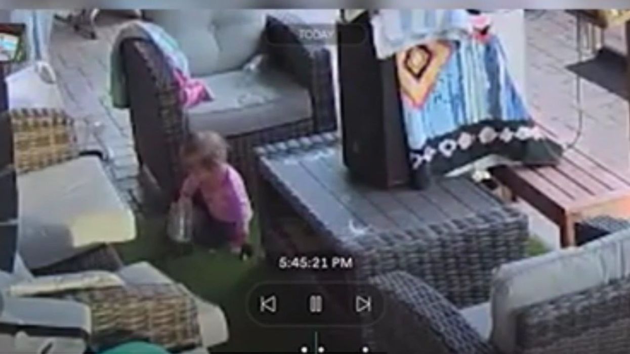 Dad screams after noticing his 18-month-old daughter is playing with a tarantula