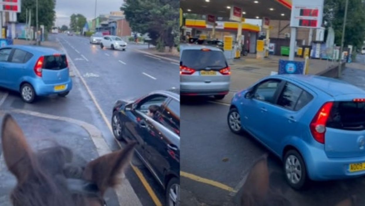 Man mocks drivers queuing up for fuel by riding into a petrol station on a horse
