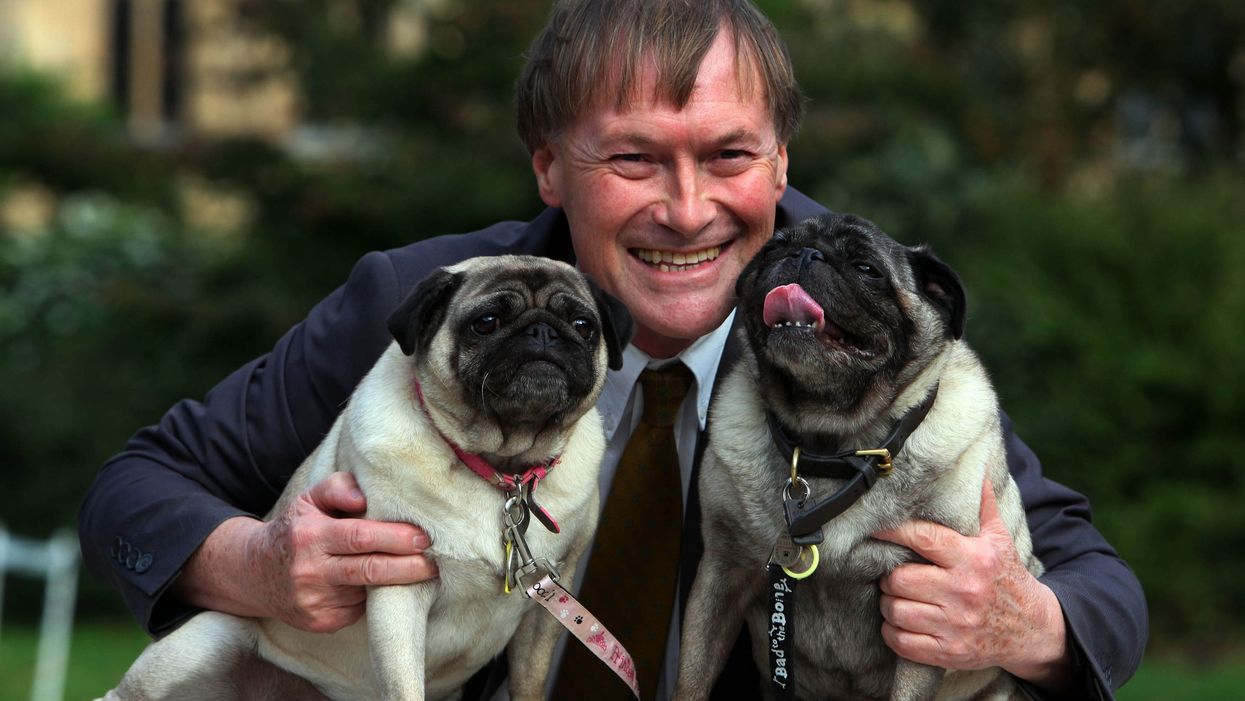 David Amess: Calls for Tory MP’s dog to be crowned Westminster Dog of the Year in ‘fitting’ tribute