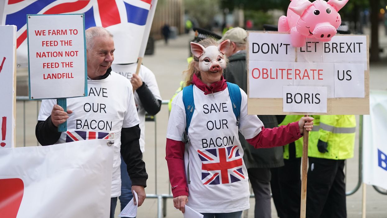 Pig farmer who voted for Brexit says she voted for people to be ‘more patriotic’