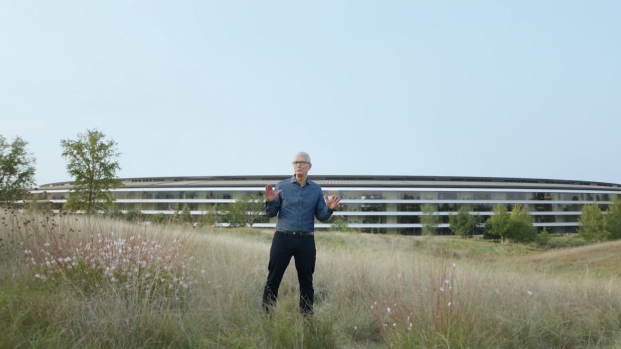 Apple CEO Tim Cook in a field sends Twitter wild: ‘I’m starting to worry that he’s lost’