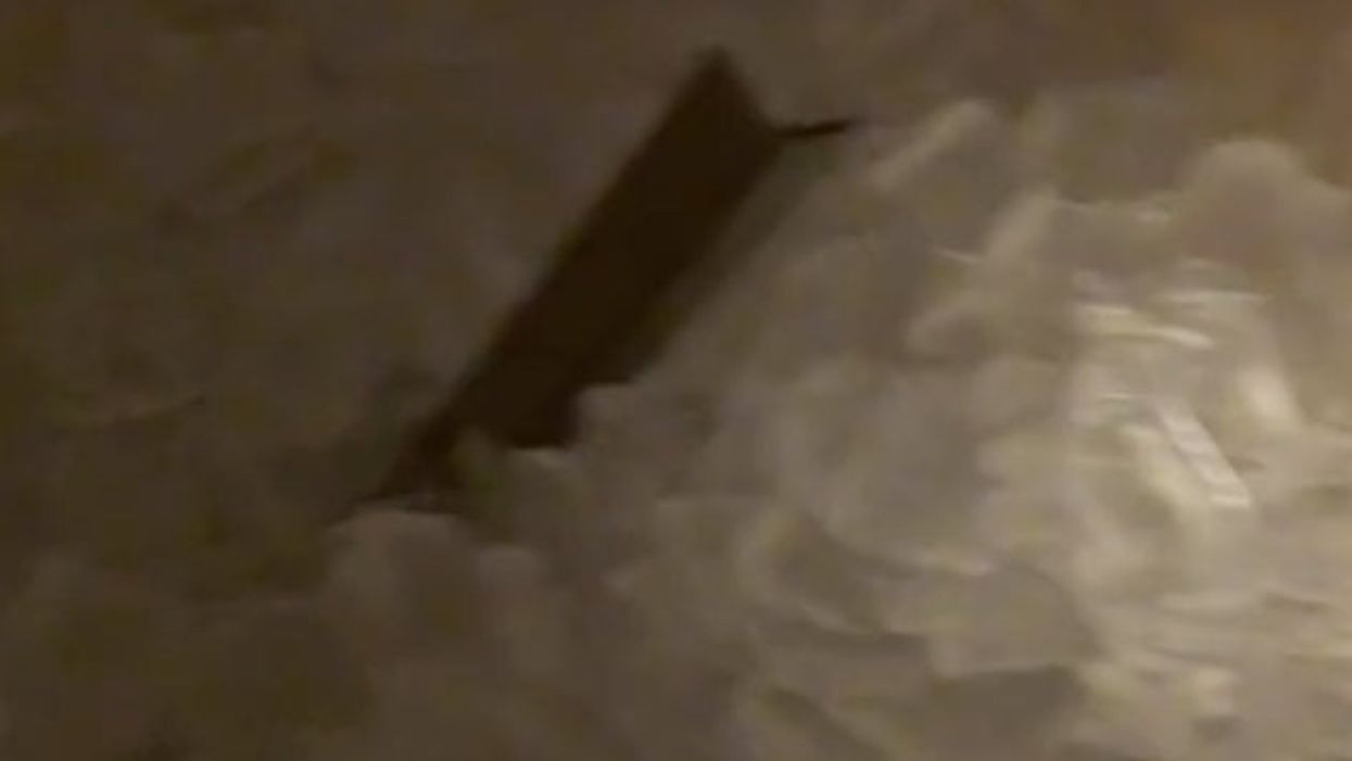 Man exposes how filthy some restaurants leave their ice machines and warns it can make you sick