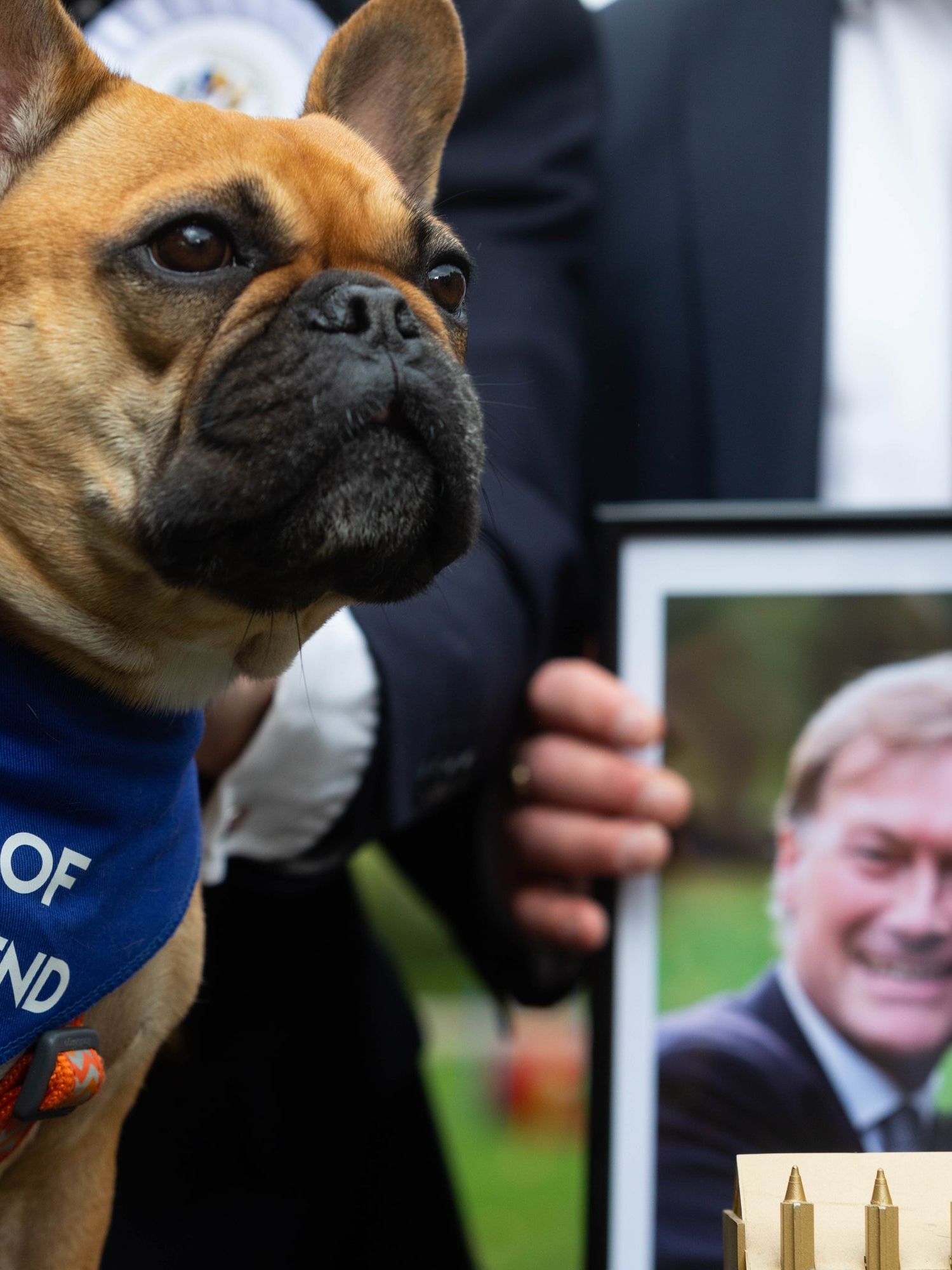 Sir David Amess’s French bulldog crowned Westminster Dog of the Year