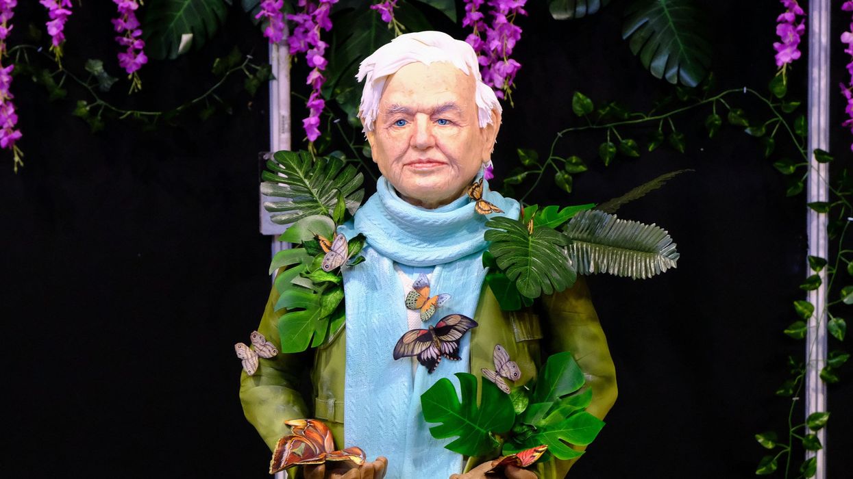 Mum creates life sized David Attenborough replica - out of cake