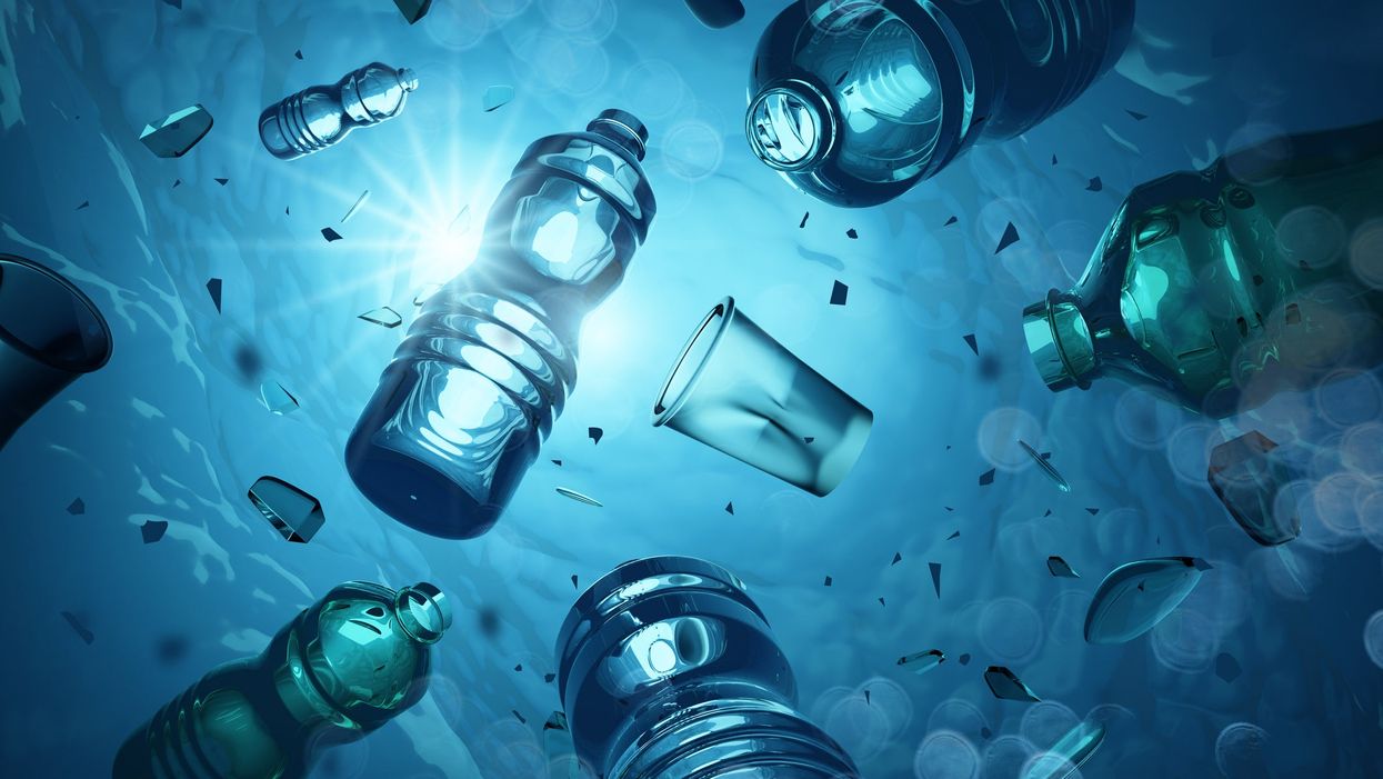 Campaigners arguing ocean plastic ‘is a good thing’ launch petition - and it fails spectacularly