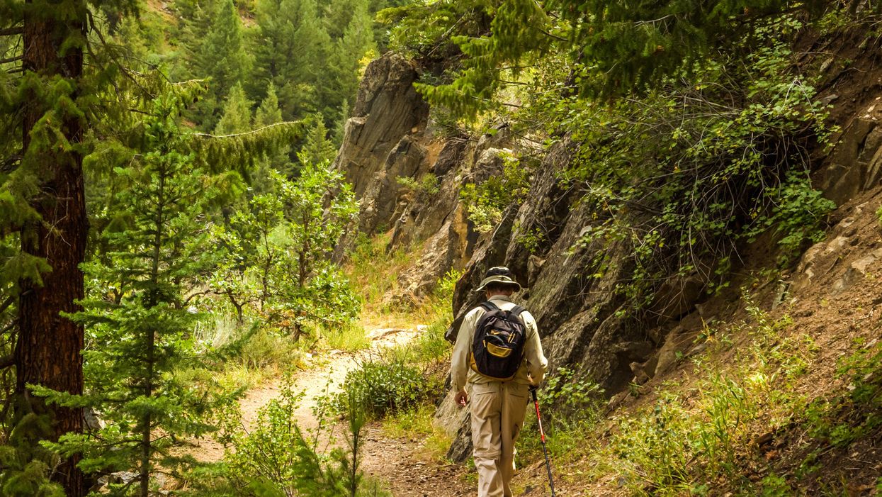 Man who left society 40 years ago to live in woods reveals what life is like