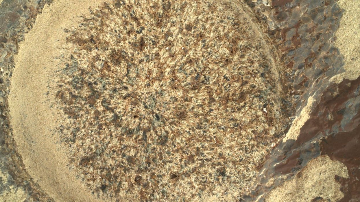 People think they’ve spotted an alien in the latest pictures from NASA’s Mars Rover