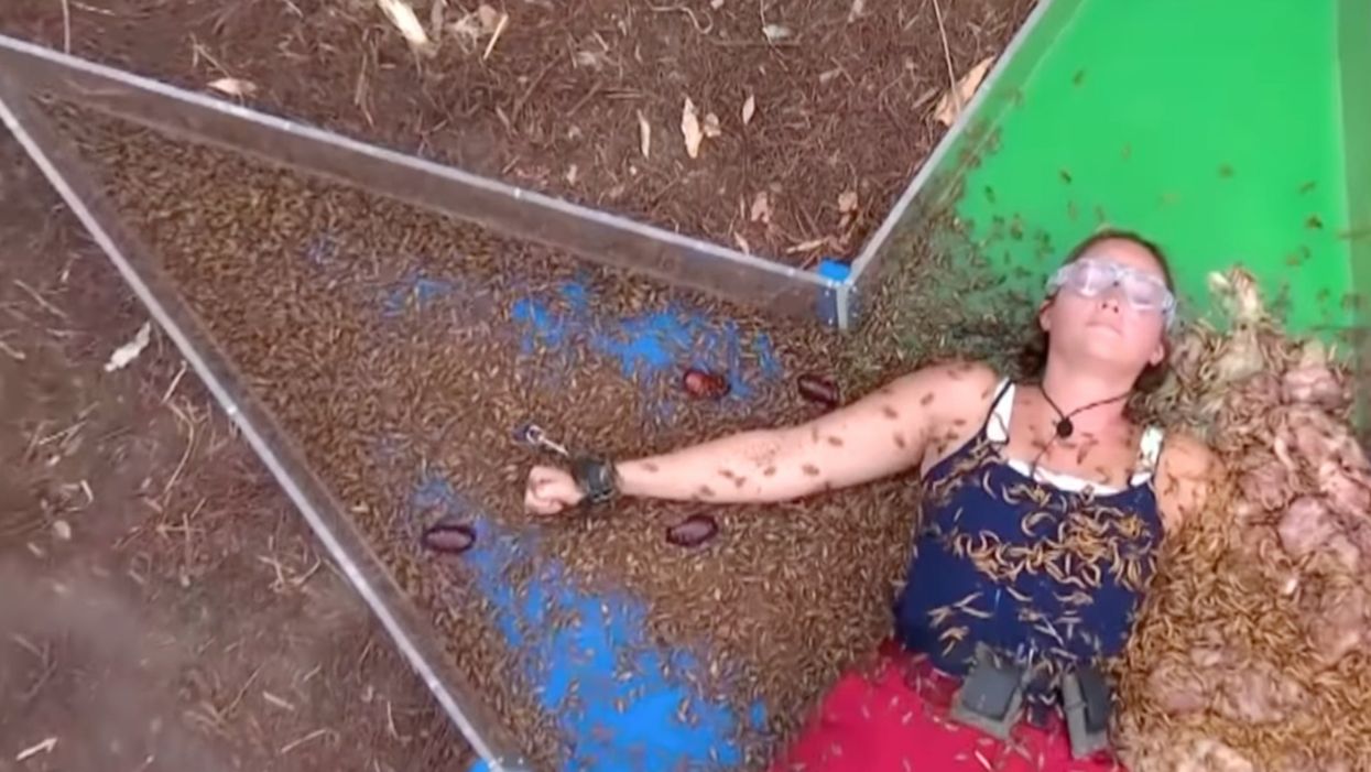 PETA urge I’m a Celebrity fans to boycott show after concerns over ‘cruel’ bushtucker trials