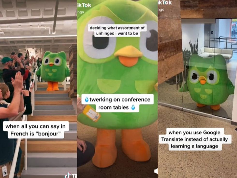 Duolingo's mascot becomes a TikTok icon with hilarious viral videos and  sassy replies | indy100