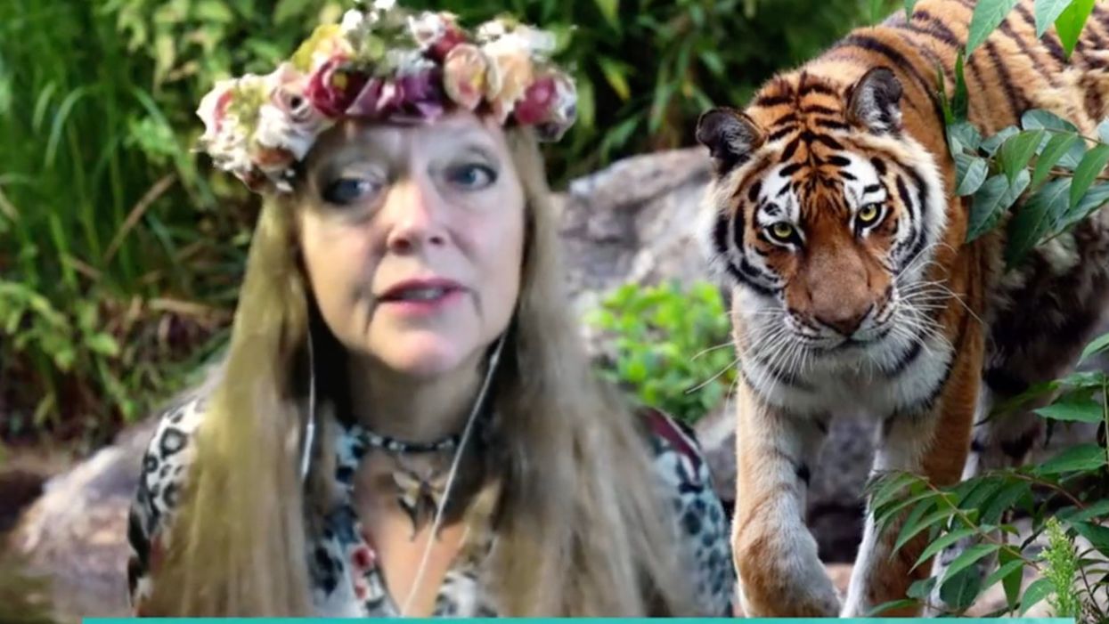 Carole Baskin slams Netflix for ‘made-up feud’ with Joe Exotic: ‘Never even spoken to him’