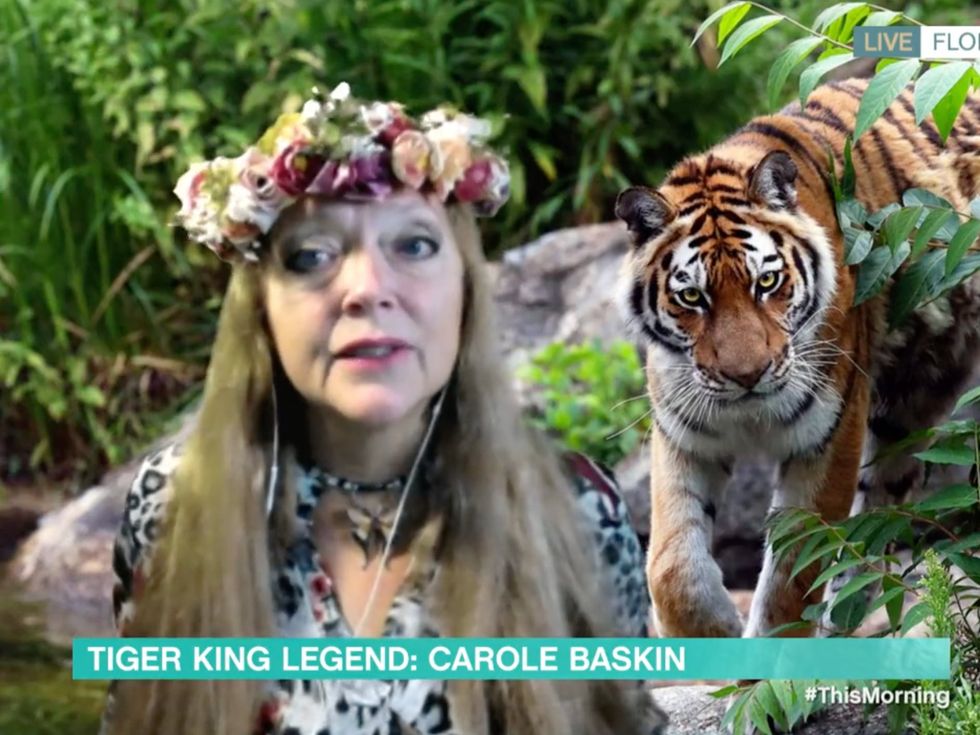 Tiger King: Carole Baskin slams Netflix for 'made-up feud' with Joe Exotic:  'Never even spoken to him