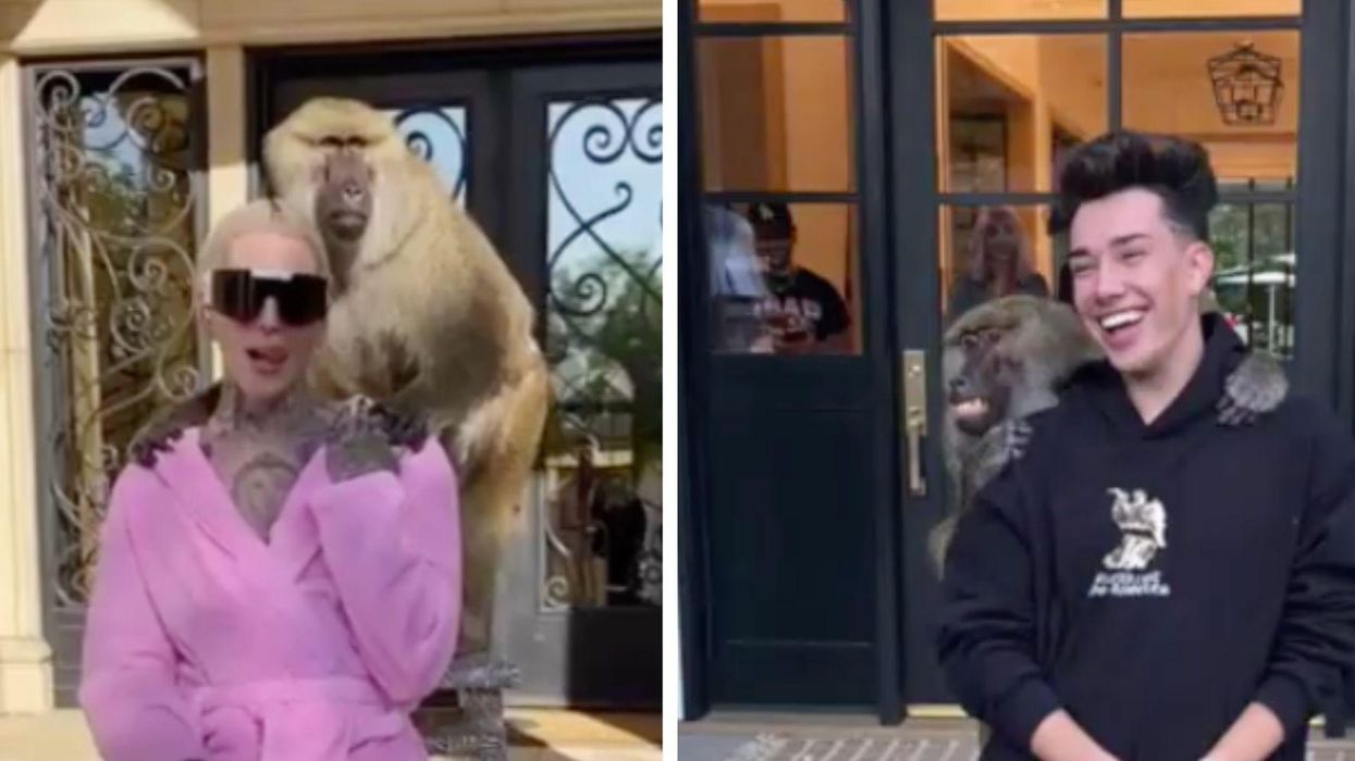 James Charles and Jeffree Star accused of 'exploiting animals' to promote a clothing brand