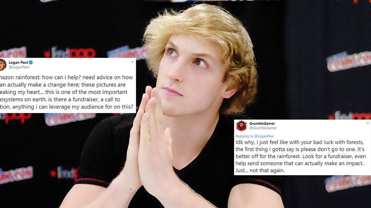 Logan Paul mocked for asking if he can do anything to save the rainforest