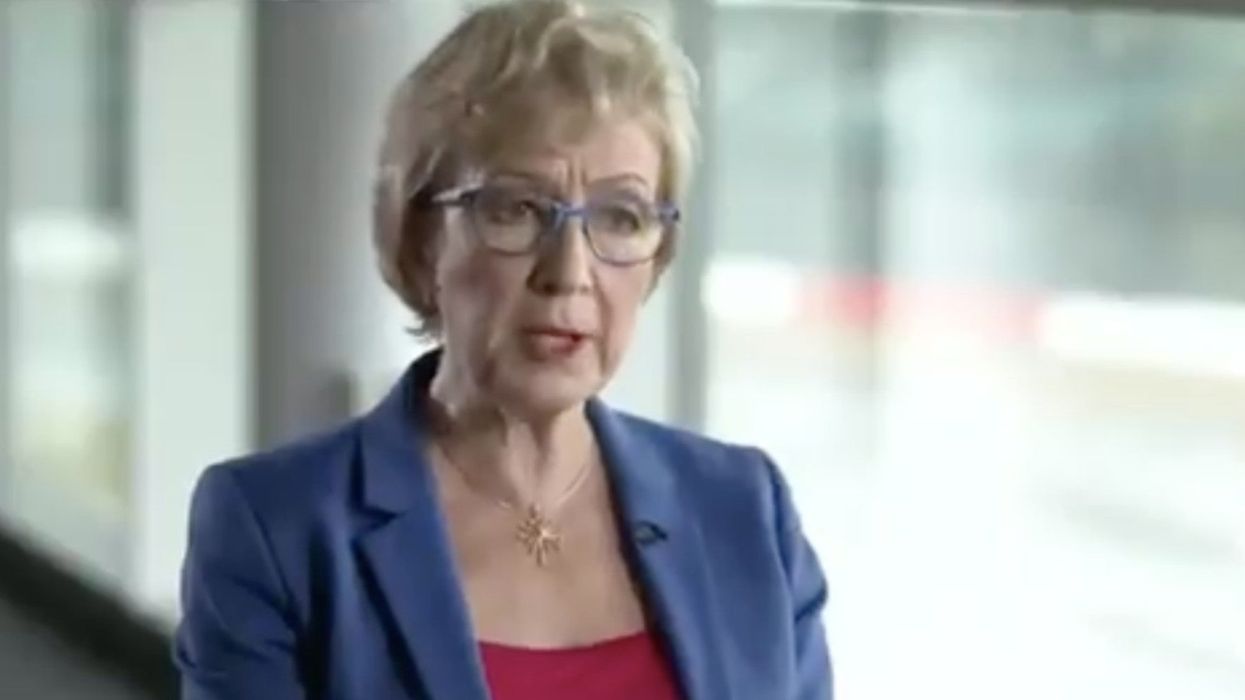 Resurfaced footage sees Andrea Leadsom claim it was made 'very clear' that jobs could be lost in a no-deal Brexit