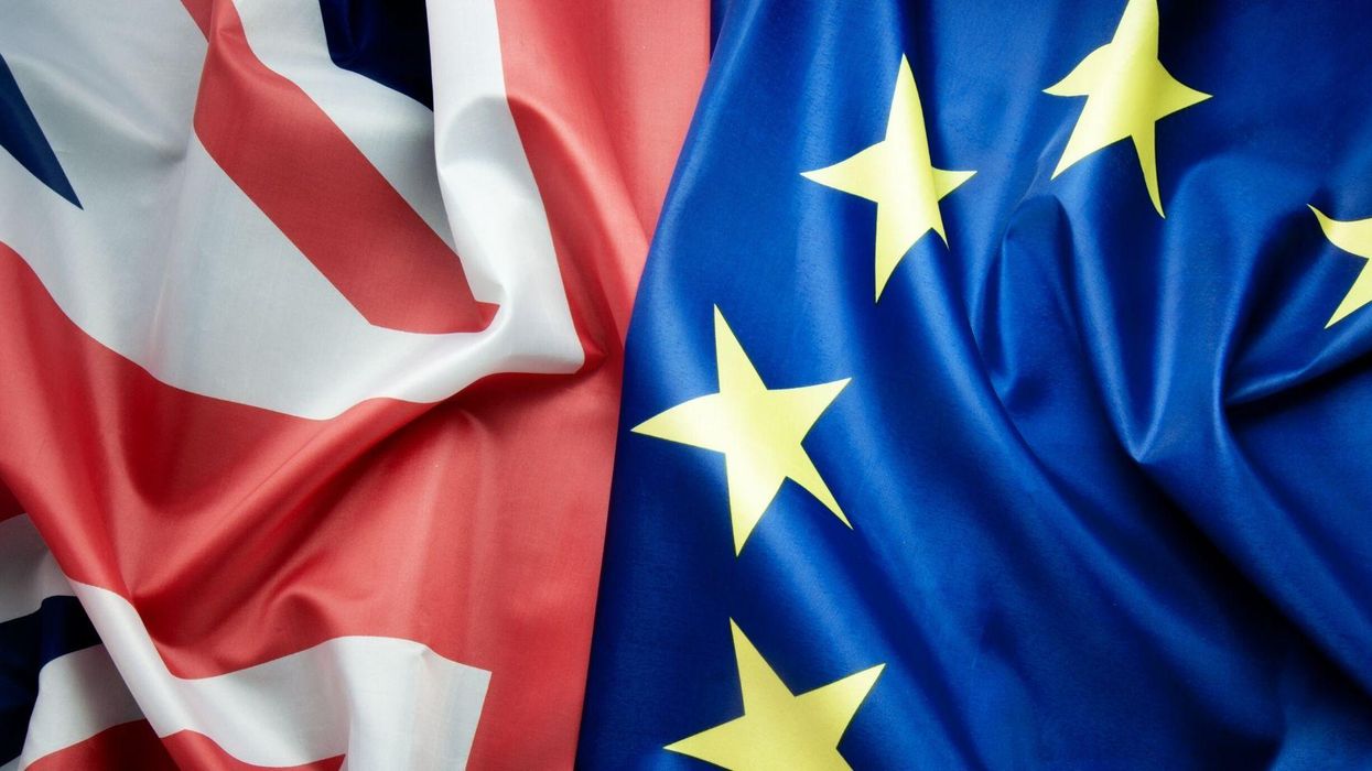 A pro-Brexit group has blamed Remainers for the UK leaving the EU and 'the mess it will surely be'