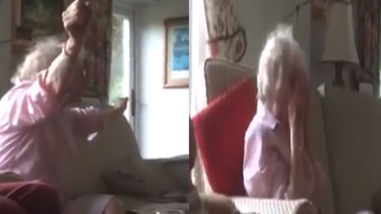 This gran’s reaction to England winning the Cricket World Cup is everything