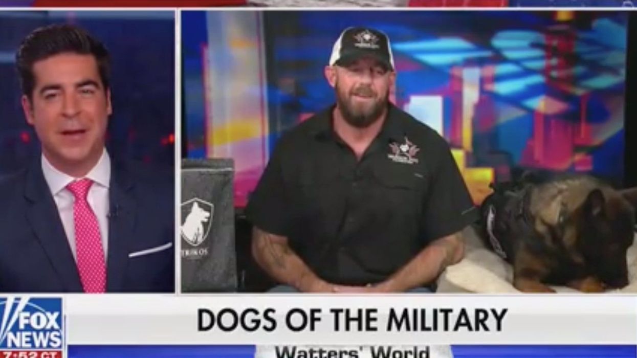 Military dog expert casually pushed a Jeffery Epstein death conspiracy live on Fox News
