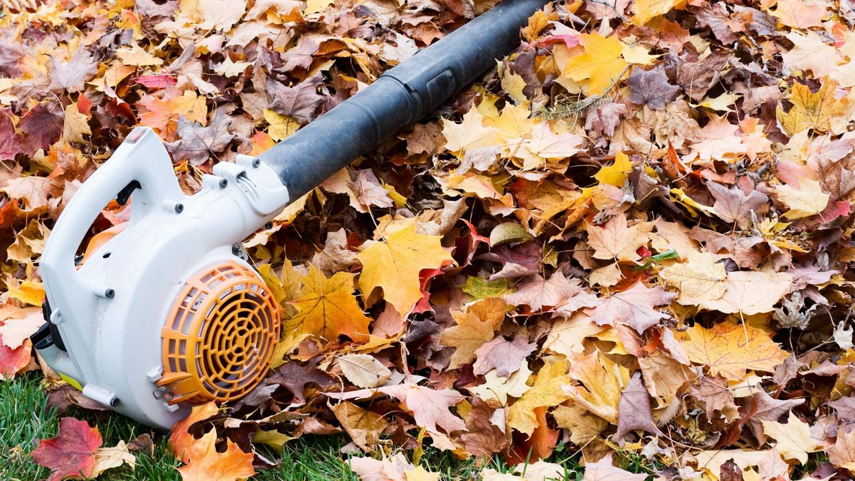 5 best leaf blowers that make autumn lawn management a snap