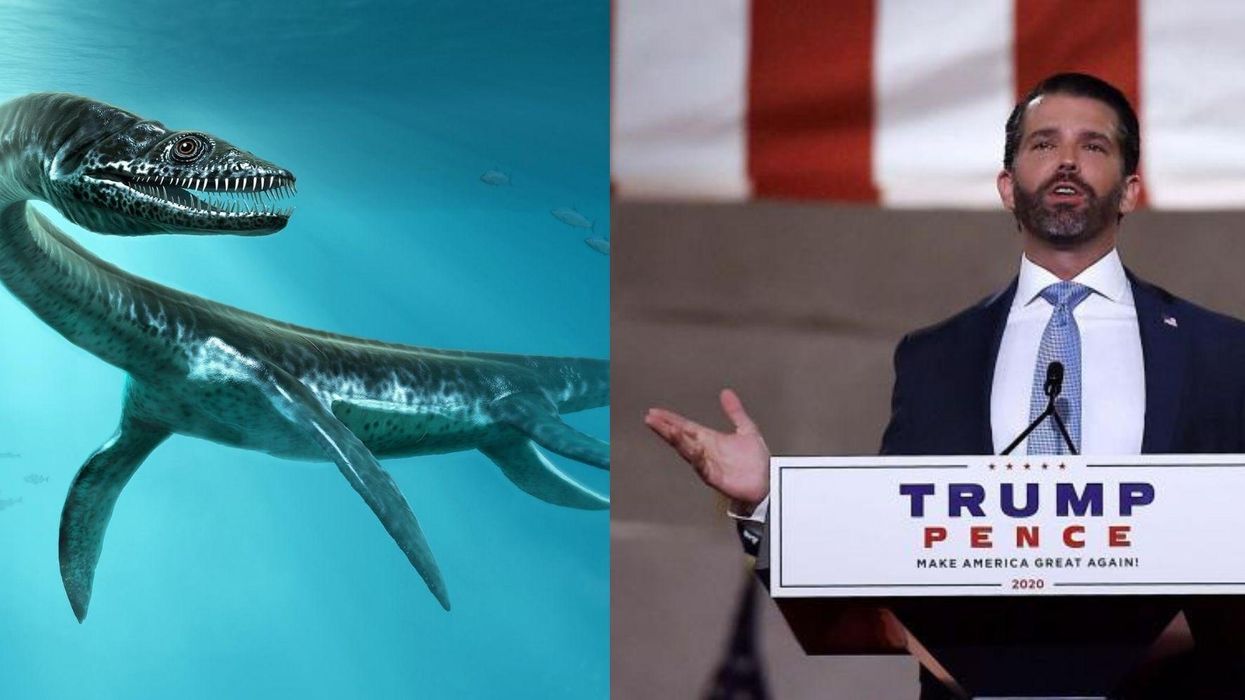 People are defending the Loch Ness Monster after Donald Trump Jr compared Nessie to Biden