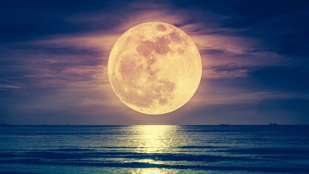 Tonight is your last chance to see the rare flower supermoon in all its glory