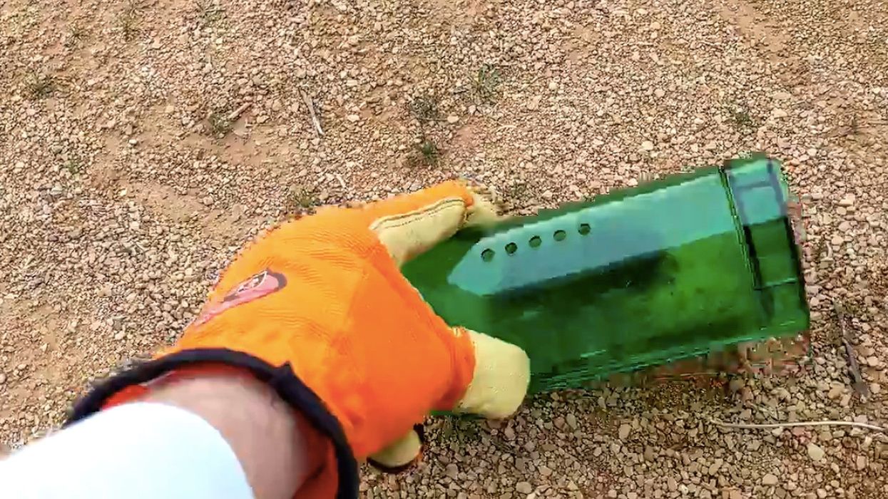 This man tried to humanely release a mouse back into the wild and it backfired in the worst possible way
