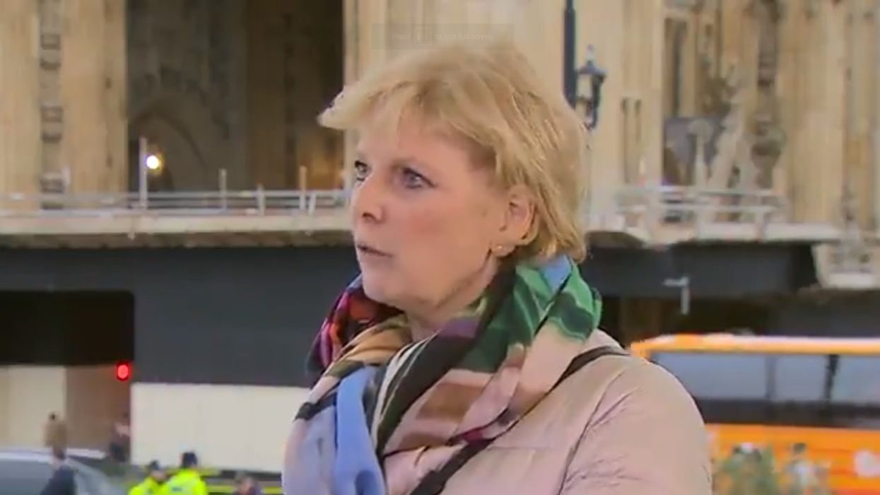 Pro-Brexit protesters heard screaming 'Nazi' at pro-EU MP Anna Soubry during TV interview