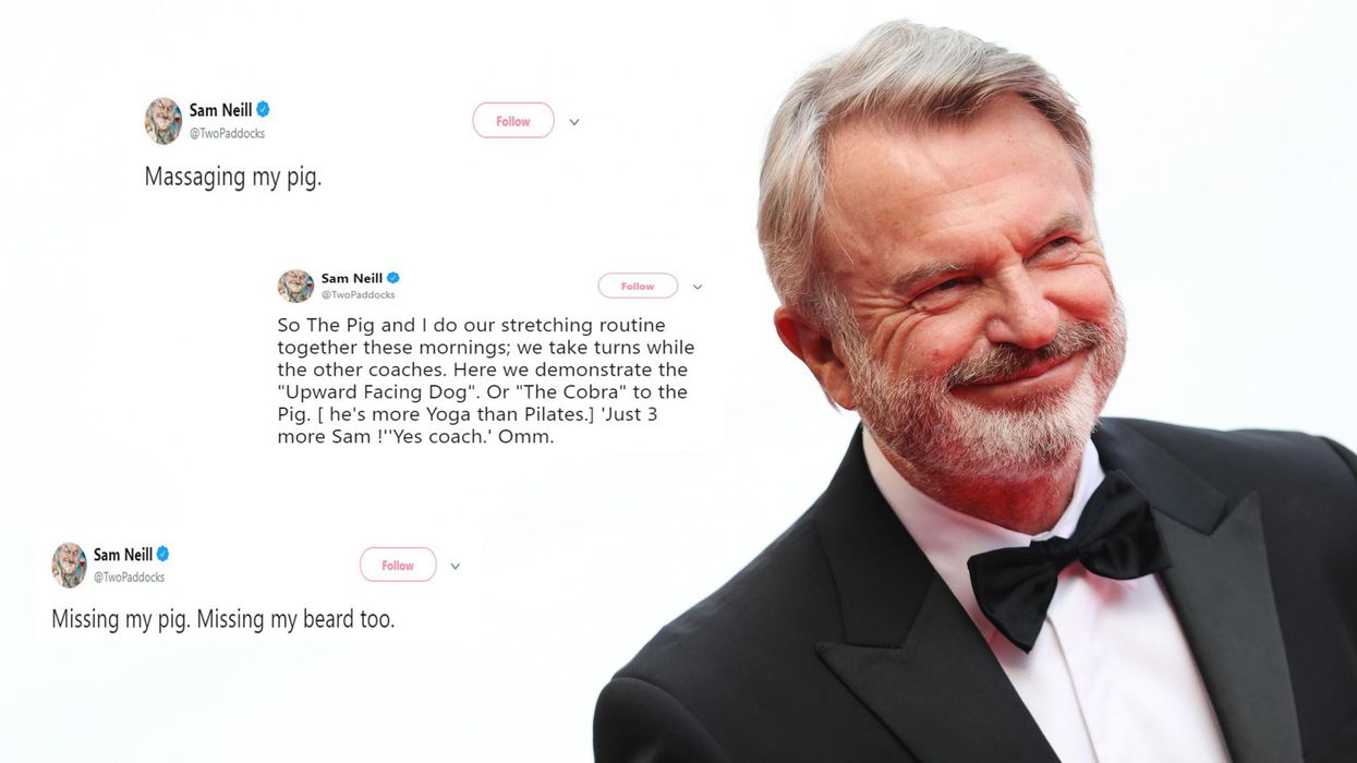 Sam Neill and his pet pig do yoga together – and the internet loves it