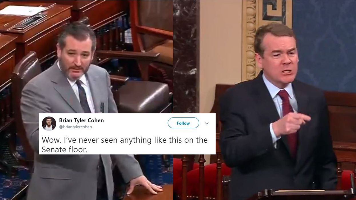 Government shutdown: Ted Cruz gets eviscerated by Democrat senator over his 'crocodile tears'