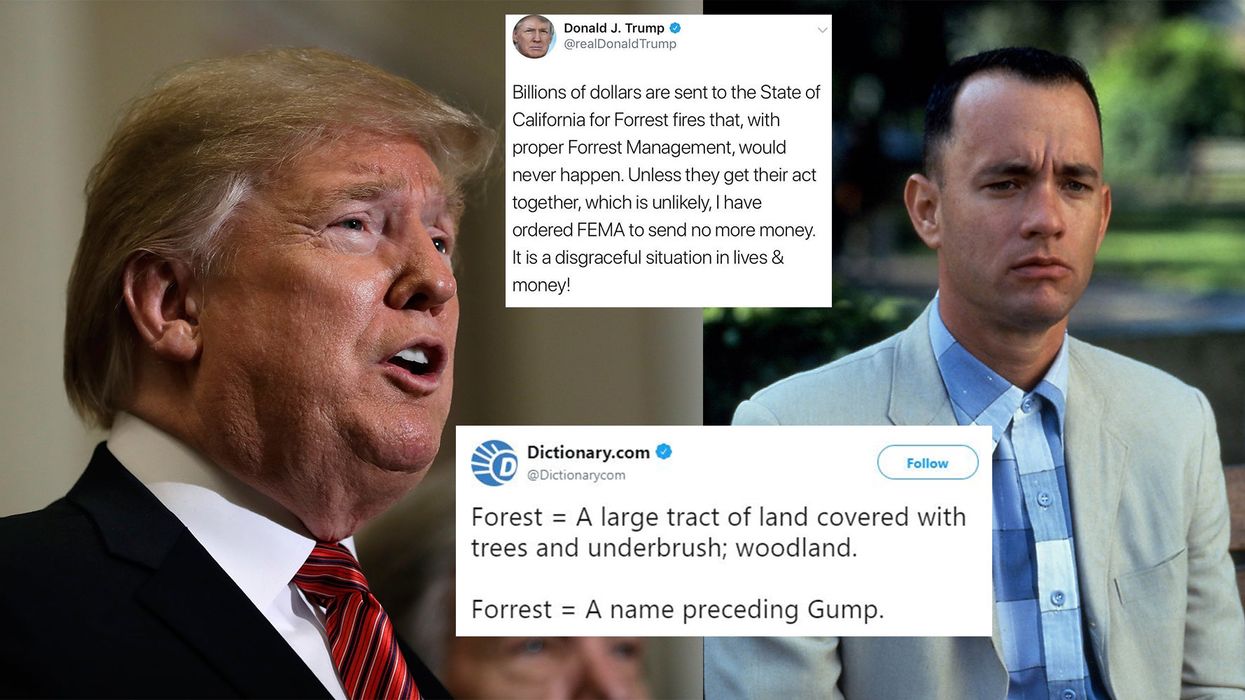 Trump is being brutally mocked after spelling 'forest' wrong in a rant about forest fires