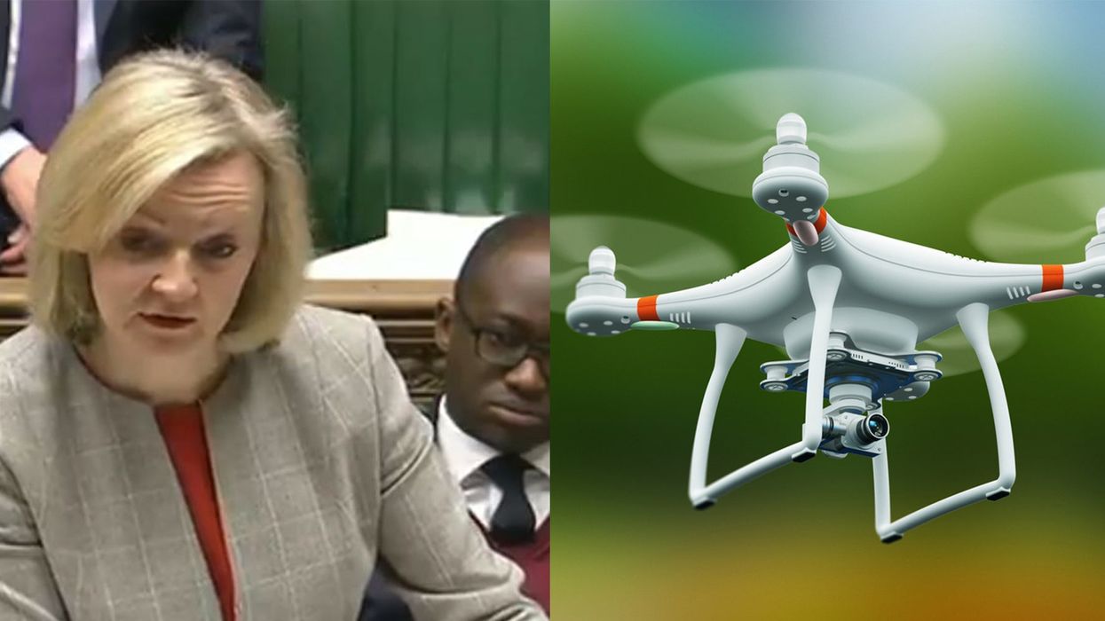 Gatwick airport delays: Liz Truss once suggested that barking dogs could deter drones