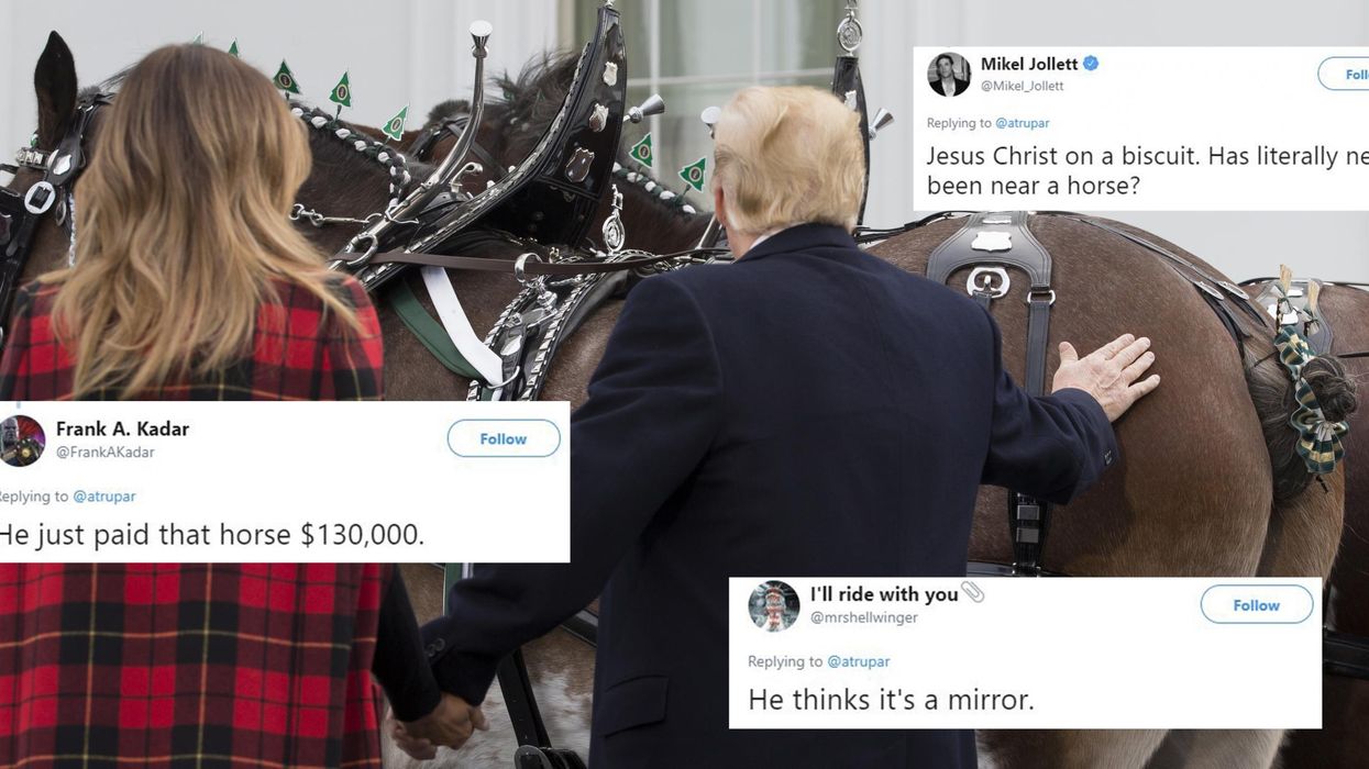 Trump stroked a horse's backside and the jokes just wrote themselves