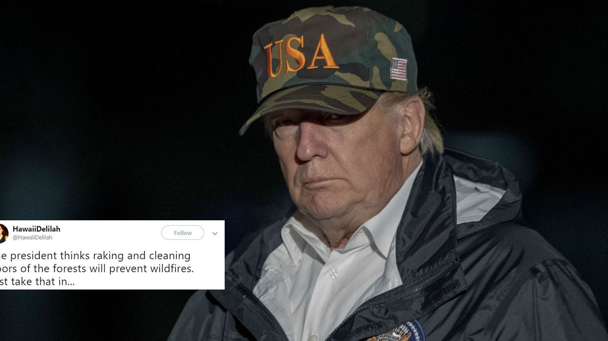 Trump said other countries do a better job of cleaning 'the floors of the forest'