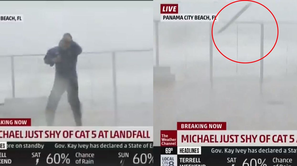 Hurricane Michael: Weather Channel presenter has to run for his life after massive piece of wood nearly wipes him out