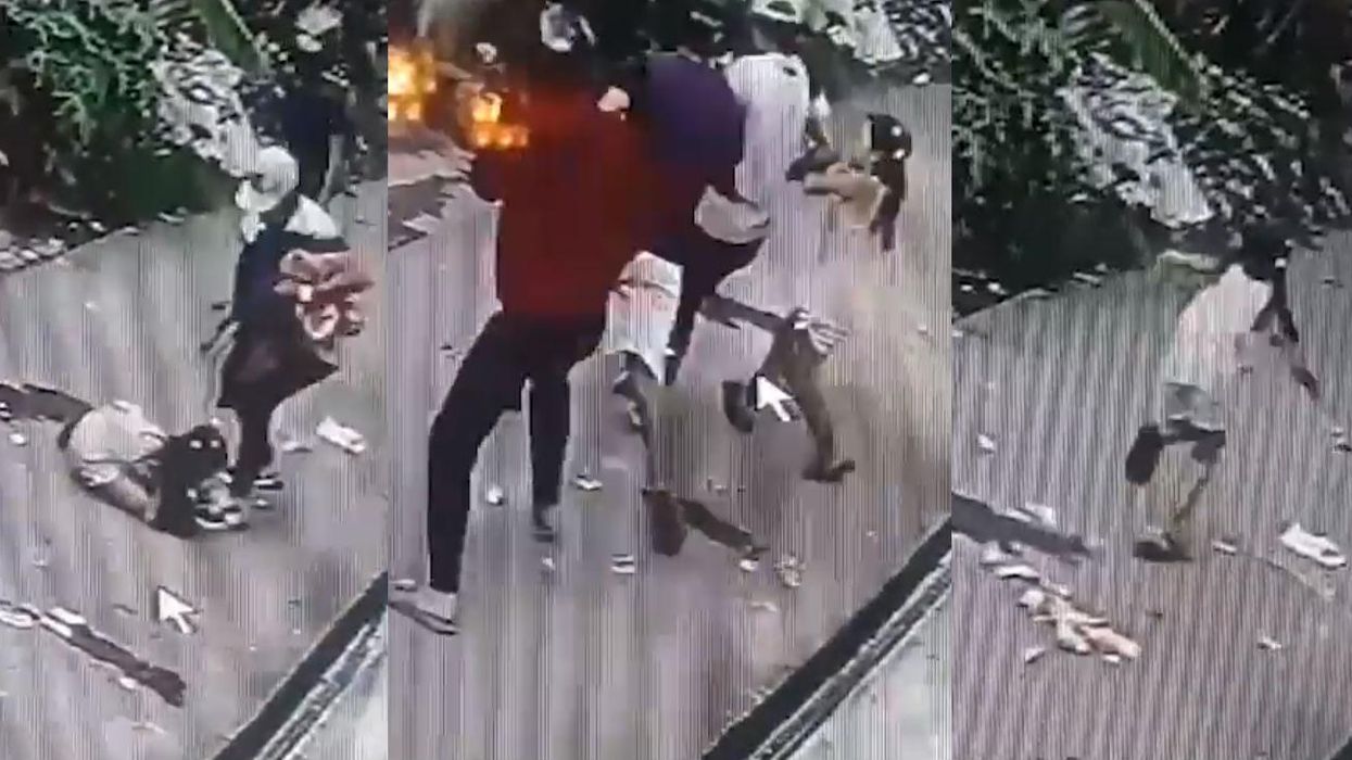 8-year-old girl suffers a broken nose after she attacks gunmen as they rob her parents