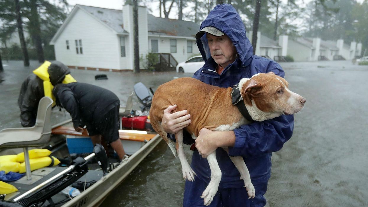 6 times Hurricane Florence brought out the best in humanity with bravery and selflessness