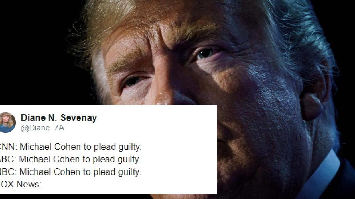 Trump's lawyer Michael Cohen pleaded guilty to fraud charges and the internet reacted accordingly