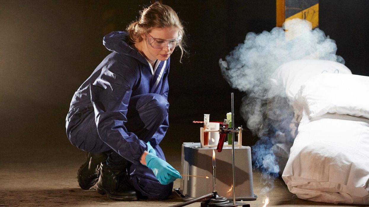 Girls and LGBT+ people still less likely to pursue careers in science and technology, study suggests