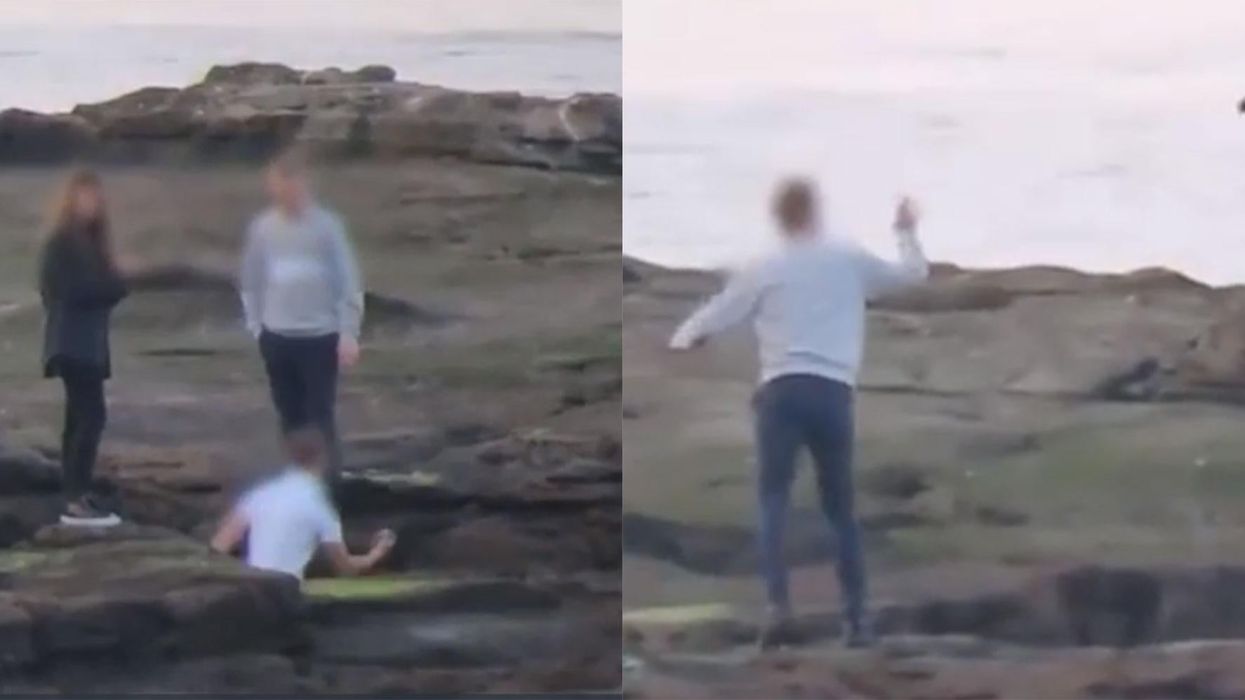 People are filming themselves throwing rocks at seals to force them to jump off cliffs and they need to stop immediately