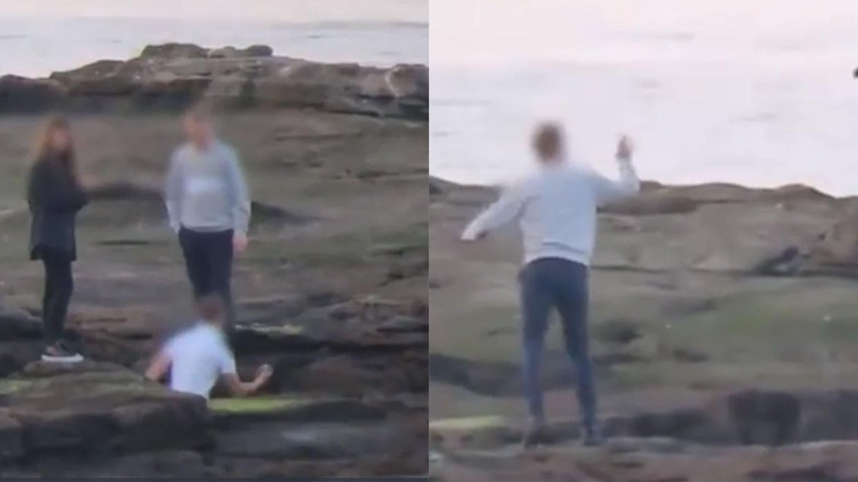 How They Threw Rocks People are filming themselves throwing rocks at seals to force them to ...